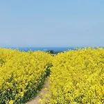 Tatil Evi Charmanter In Nahe Der Ostsee *