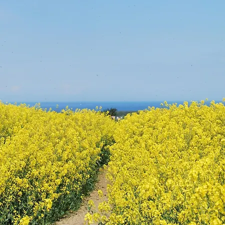 펜션 Charmanter In Nahe Der Ostsee *