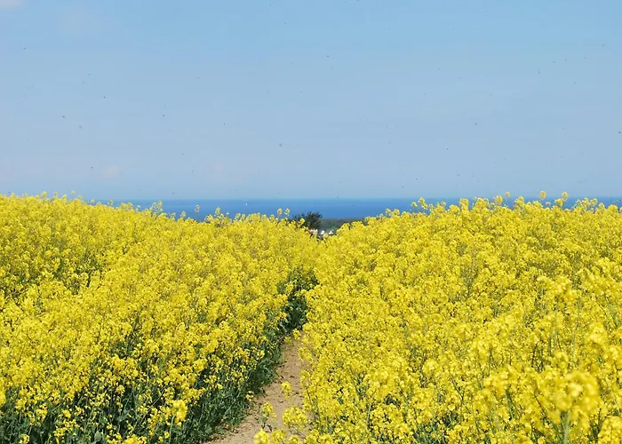 度假居 Charmanter In Nahe Der Ostsee *